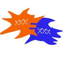 Guangdong Prolin Baking Tools Co.,Ltd company overview - view 1 thumbnail