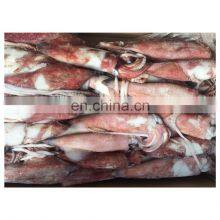 Seafood Frozen Whole Round Red Squid