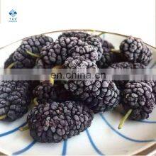 Healthy Taste Good Frozen Mulberry Freeze Mulberry thumbnail-1