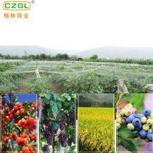 High Quality Custom Anti-oxidation Safety Net Transparent Protection Anti-bird Netting Anti Bird thumbnail-4