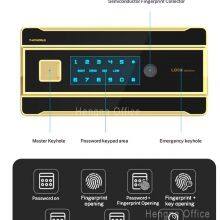 Modern High Security Luxury Home Safe | With Biometric Fingerprint Scanner | Smart Safe for High-End Residences thumbnail-5