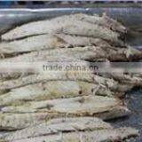 Cooked Bonito Tuna Loin thumbnail-1