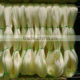 GOOD QUALITY NYLON MONOFILAMENT LINE---YELLOW---0.23MM thumbnail-1