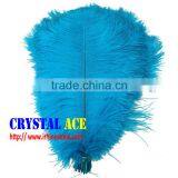 Dyed Ostric Feather, Feather Ostric Plumes for Carnival Costumes thumbnail-3