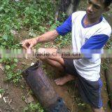 Indonesia Granulated Organic Arenga Palm Sugar in Bulk thumbnail-4