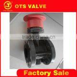 BV-LY-0012 filling double flange butterfly valve with pneumatic actuator