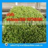 WHIR Saudi Arabia With SASO Certificate Hydroponic Hydroponics Cultivation for Growing Fodder Grass,barley,wheat thumbnail-4