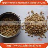 Fried Sunflower Seed Kernels