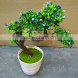 Home Decoration Use NEW Mini Novel Ceramic Porcelain Bonsai Grass Doll Hair Plant Head Planter Gift thumbnail-4