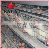 Algeria Chicken Farm Layer Poultry Cages For Sale ( Direct Factory, Fast Delivery)