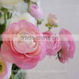 Diversified in Packaging Crazy Selling Decoration Wholesale Flower Ranunculus Asiaticus thumbnail-2