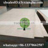 Wholesale Container Plywood or Truck Board