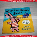 OEM Offset Printing Education Book Educational Preschool Books Childrens Book Printing