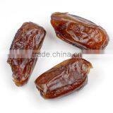 Golden Date Palm thumbnail-1