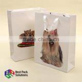 2016 Paper Shopping Bag thumbnail-2