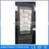 Convenience Stores Snow Freezer Lowest Price