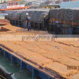 Coconut Fiber High Quality (QQ : 2598494113) thumbnail-5