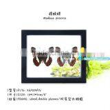 FOUSEN(039) Nature& Art Natural Gifts and Crafts Glass Handicraft thumbnail-2