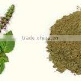 STAVIA POWDER INDIAN TULSI POWDER thumbnail-4
