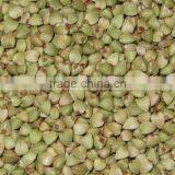 High Quality Raw Buckwheat Kernel thumbnail-1