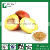African Wild Mango seed extract 4:1,10:1 and protein 10%-50%