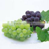 Organic Grape Seed Extract