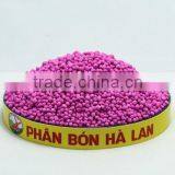 SEVEN SPECIALIZE FOR FRUIT thumbnail-4