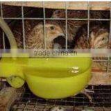 Quail/pigeon Drinkers/bowl/waterer for Sale thumbnail-2