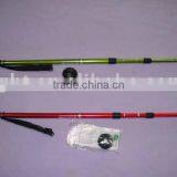 Nordic Walking Stick thumbnail-1