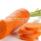 Fruit Onion Dicer Machine thumbnail-5