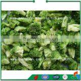 FDG Series Vacuum Fruit and Vegetable Lyophilizer thumbnail-6