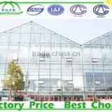 Venlo Glass Greenhouse thumbnail-3