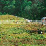 SOL 2015 Marketable Garden Roof Roof Planter System thumbnail-1