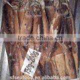 Seafood Squid Price of Frozen Seafood Illex Squid thumbnail-2