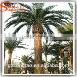 Plastic Date Palm Trees Prices Wedding Decorations Fake Large Plastic Tree and Plants Wholesale thumbnail-4