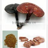 LingZhi Extract, Reishi Granule, Ganoderma Extract thumbnail-1