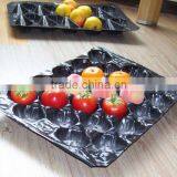 Supermarket Display Fruit Protection Nested Pack Pomegranate Plastic Packaging Tray