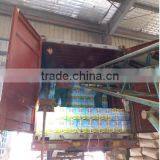 Best Selling- Special Chunmee Green Tea, the Vert 41022AAAAA thumbnail-5