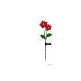 The Single Red Chritmas Optical Fiber Flowers Solar Lamp thumbnail-1