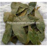 DRIED SOURSOP LEAVES thumbnail-1