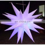 2014 New Star Inflatable Bulb for Event thumbnail-2