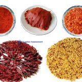 Steam Sterilized Paprika Powder 140asta thumbnail-5