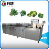 Fruit and Vegetable Commercial Washing Machine Red Date Washing Machine Lettuce Washing Machine thumbnail-7