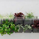 7 Gallon Grow Bag Felt Plant Pot thumbnail-5