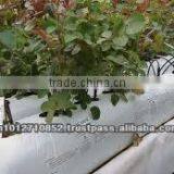 COCOPEAT GROWBAGS FOR PLANTS thumbnail-5