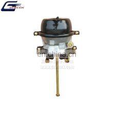 Spring Brake Cylinder Oem T2430DD for VL Truck Air Brake Chamber thumbnail-3