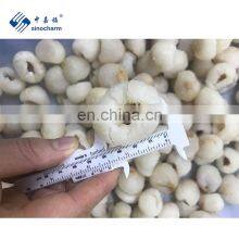 Bulk Wholesale China IQF Frozen Lychee Peeled Frozen Lychee Price thumbnail-5