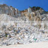 GCC _Superfine Calcium Carbonate Powder Purity 99.9%CACO3_for Paper_ Min 96% Whiteness thumbnail-1