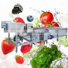 Automatic Leafy Vegetable And Fruit Air Bubble Clean Washer Production Line Vegetable Wash Machine Industry