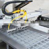 DHC-250P Ampoule Blister Packing Line thumbnail-3